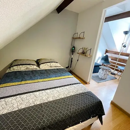 Duplex Du Pailhet, T3 Neuf, Vue Montagne, Parking, Navette Et 2 Velos A Disposition Gratuitement アパート Bagnères-de-Luchon