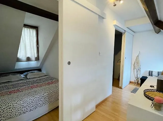 Duplex Du Pailhet, T3 Neuf, Vue Montagne, Parking, Navette, 500m Gare Et 2 Velos A Disposition Gratuitement Apartment