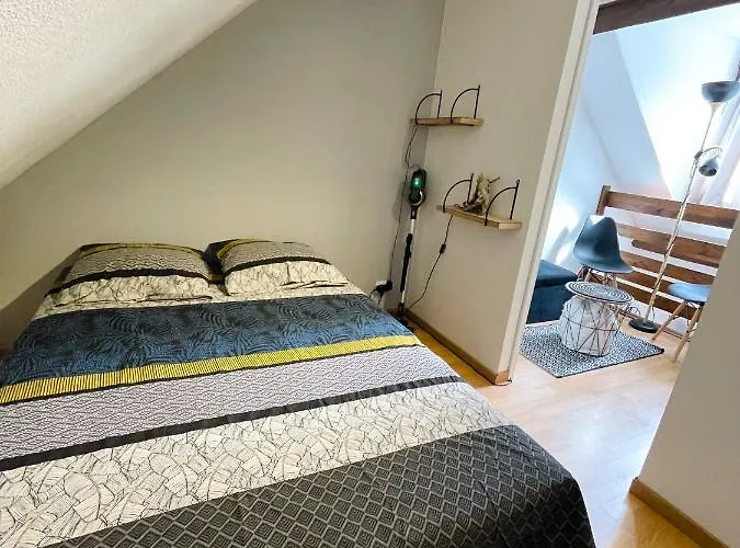 Duplex Du Pailhet, T3 Neuf, Vue Montagne, Parking, Navette, 500m Gare Et 2 Velos A Disposition Gratuitement Apartment Bagnères-de-Luchon