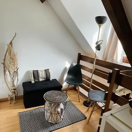 Apartamento Duplex Du Pailhet, T3 Neuf, Vue Montagne, Parking, Navette Et 2 Vélos à Disposition Gratuitement Bagnères-de-Luchon